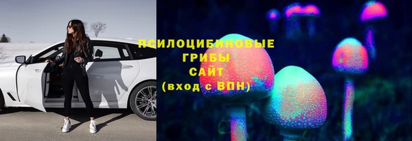 сатива Абаза