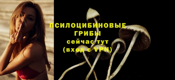 сатива Абаза