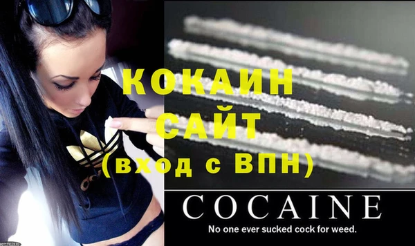 ГАЛЛЮЦИНОГЕННЫЕ ГРИБЫ Ладушкин